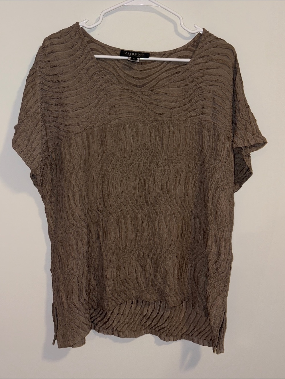 Citron Taupe Textured Short-Sleeve Blouse